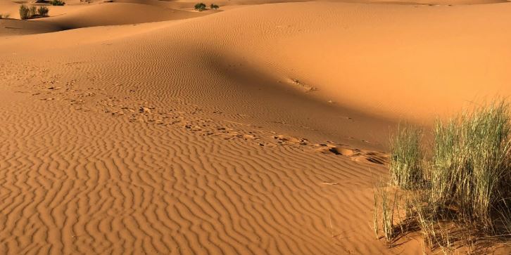 जैसलमेर: पाकिस्तानी कपल की रेगिस्तान में दर्दनाक मौत