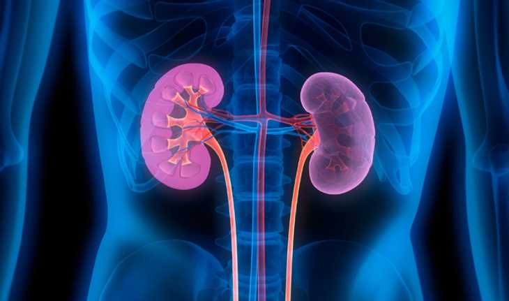 kidney damage