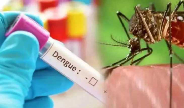 dengue patients increased in Ghaziabad