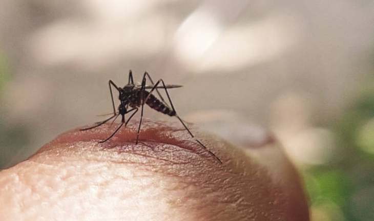 डेंगू कैसे पहचाने शुरुआती लक्षण