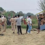 Etah वन विभाग में भ्रष्टाचार का बड़ा खुलासा: हरे पेड़ों की कटान के लिए मांगी जा रही रिश्वत