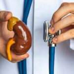 सिर्फ एक Kidneyपर भी जिंदा रह सकते हैं, जानिए कैसे!