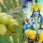 अक्षय नवमी 2025: इस दिन भूलकर भी न करें ये काम, वरना Lakshmi जी रूठ जाएंगी!