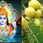 आंवला नवमी 2025: जानिए पूजा विधि, शुभ मुहूर्त और मैसेज!