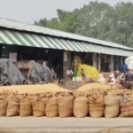 धान की नीलामी सड़कों पर प्रशासन मौन,Farmers है परेशान!