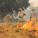 Sitapur में Farmers पर जुर्माना, Stubble Burning पर प्रशासन ने लगाई रोक