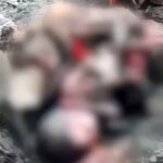 Bihar News : कौन है ये दरिंदा? दो नवजात बच्चियों को जलाकर मार दिया!