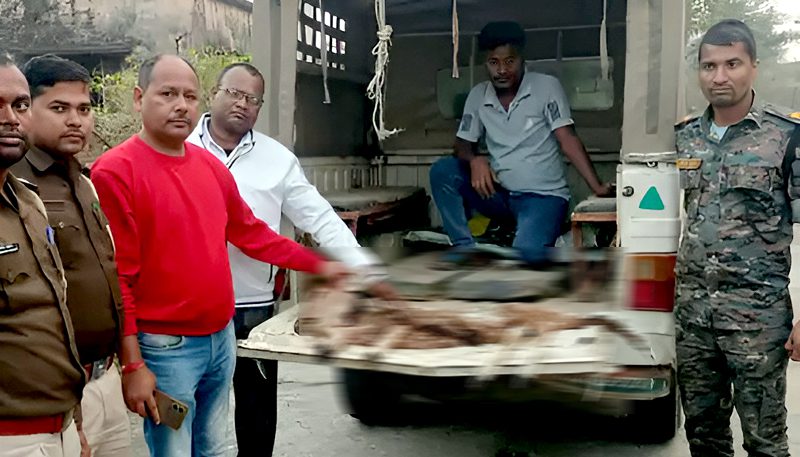 बरामद चीतल के खाल, सिर और पैर के साथ वन अधिकारी