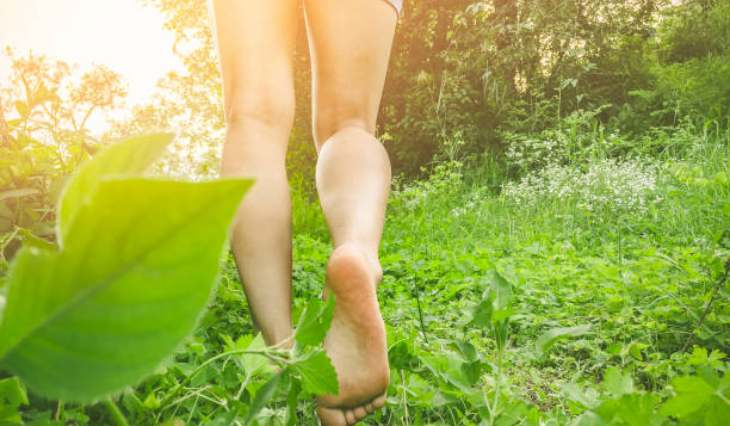 green grass walking in morning