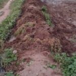 Sub-District अधिकारी से चकरोड से अवैध कब्जा हटवाने की मांग