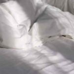 Rajaai: को इंग्लिश में क्या कहते हैं? जानिए