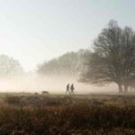 Winter Walk: सही समय क्या है? जानिए एक्सपर्ट्स की राय