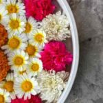 Flowers धोना चाहिए? ज्योतिष और धर्म शास्त्र क्या कहते हैं?