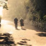 Diabetes: पैदल चलना कितना जरूरी है? जानिए एक्सपर्ट्स की राय