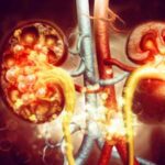 HealthTips: ठंड में पानी कम पीना बन सकता है किडनी फेल होने की वजह!