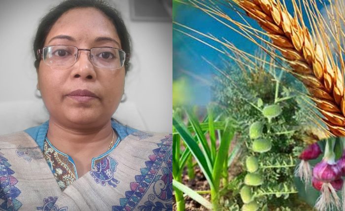 Agriculture Department issues advisory for protection of Rabi crops