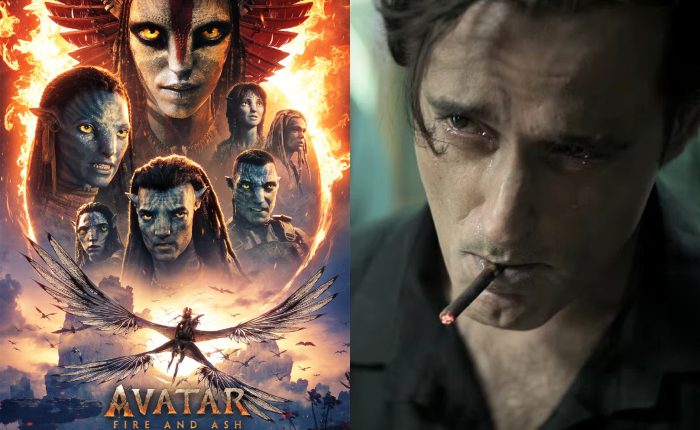 Box Office Collection : Dhurandhar vs Avatar Fire and Ash