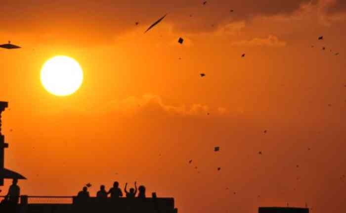 Makar Sankranti Flying kites