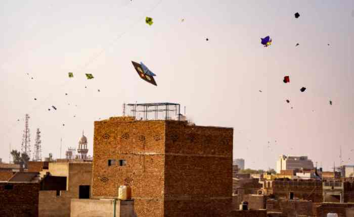 Makar Sankranti kite flying