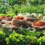 SpiceGardenofIndia: भारत का ‘मसालों का बगीचा’ कहलाने का असली कारण क्या है?