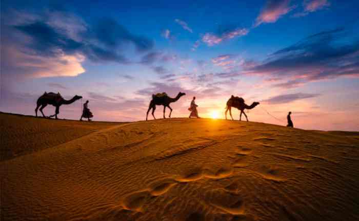 Desert Festivall in Jaisalmer