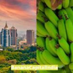 KnowledgeIsTips: क्या आप जानते हैं भारत का ‘बनाना कैपिटल’ कौन सा शहर है?