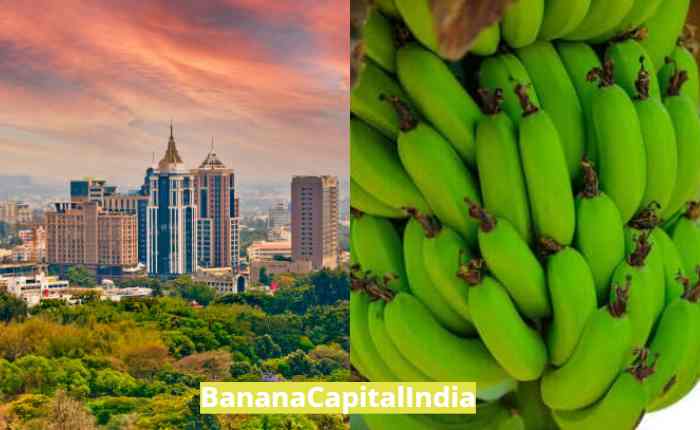 Banana Capital of India