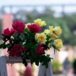 RoseDay2026: ये 5 मैसेज भेजे और पार्टनर का दिन बना दें!