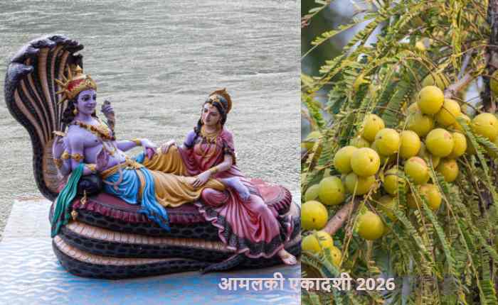 आमलकी एकादशी 2026