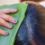 AloeVeraHairPack: लगाने से पहले जान लें ये 3 जरूरी बातें