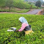 SouthIndiaTrip: कम बजट, मार्च में घूमने के 5 बेस्ट डेस्टिनेशन