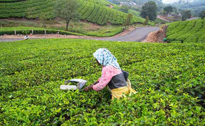 South India budget trip