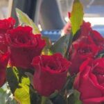 Rose Day 2026 कब है? गुलाब से ही क्यों शुरू होता है प्यार का हफ्ता?