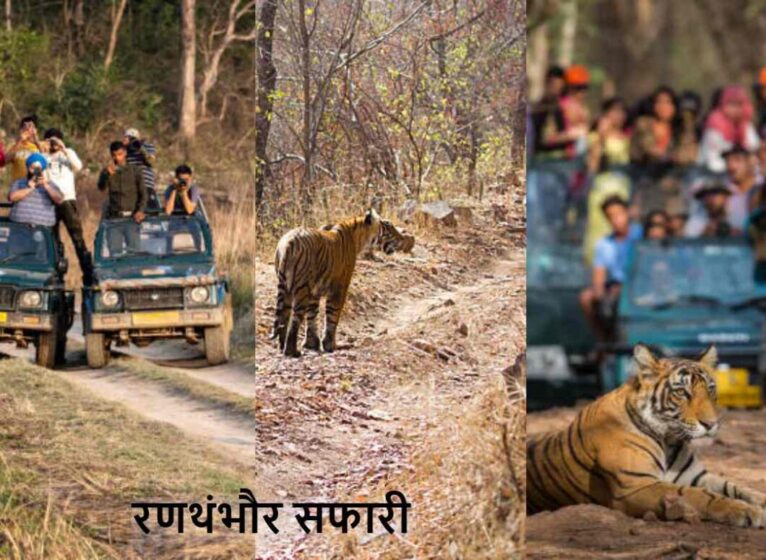 Ranthambore Wildlife Safari