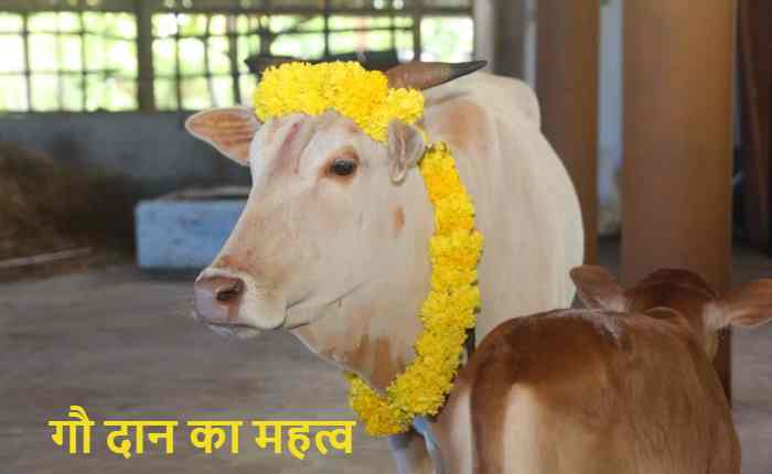 गौ दान का महत्व