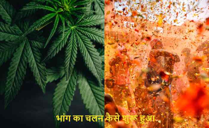 भांग का चलन कैसे शुरू हुआ,