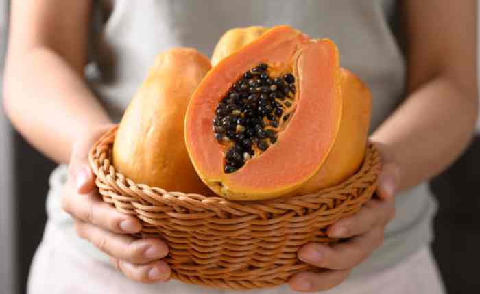 PapayaBenefits