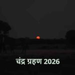 ChandraGrahan2026: सूतक काल में डाली गई तुलसी का क्या करें?
