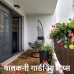 GardeningTips: बालकनी गार्डनिंग के लिए बेस्ट 8 समर प्लांट्स!