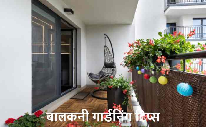 balcony gardening summer plants