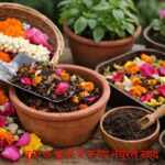HomeGardening: पूजा के फूल फेंकते हैं? अब उनसे बनाएं पौधों के लिए नेचुरल खाद