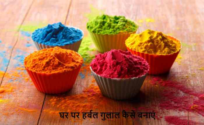 holi herbal colors