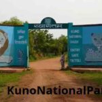 KunoNationalPark: कुनो नेशनल पार्क घूमने से पहले जान लें ये जरूरी बातें!
