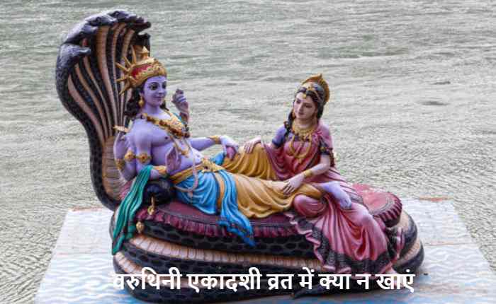 Ekadashi Vrat Food Rules