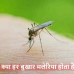 WorldMalariaDay 2026: क्या हर बुखार मलेरिया होता है?