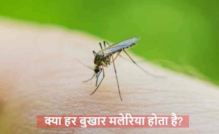 मच्छर के काटने से फैलने वाले Malaria के बारे में जागरूकता, बुखार और मलेरिया के लक्षण समझाते हुए.