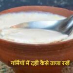 FreshCurdTips: गर्मियों में ताजा दही चाहिए? ये आसान टिप्स जरूर अपनाएं