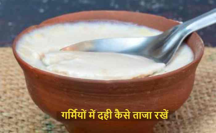 How to keep yogurt fresh in summer?