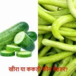 HydrationFoodsSummer: डिहाइड्रेशन से बचना है? खीरा या ककड़ी कौन ज्यादा असरदार