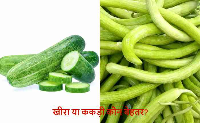 cucumber or kakdi which is better